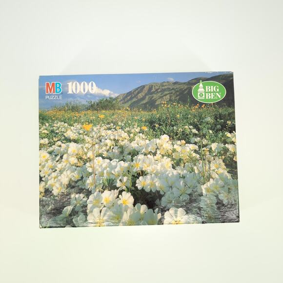 MB Milton Bradley 1000 Piece Anza-Borrego Desert State Park, CA Jigsaw Puzzle GC - Picture 12 of 12